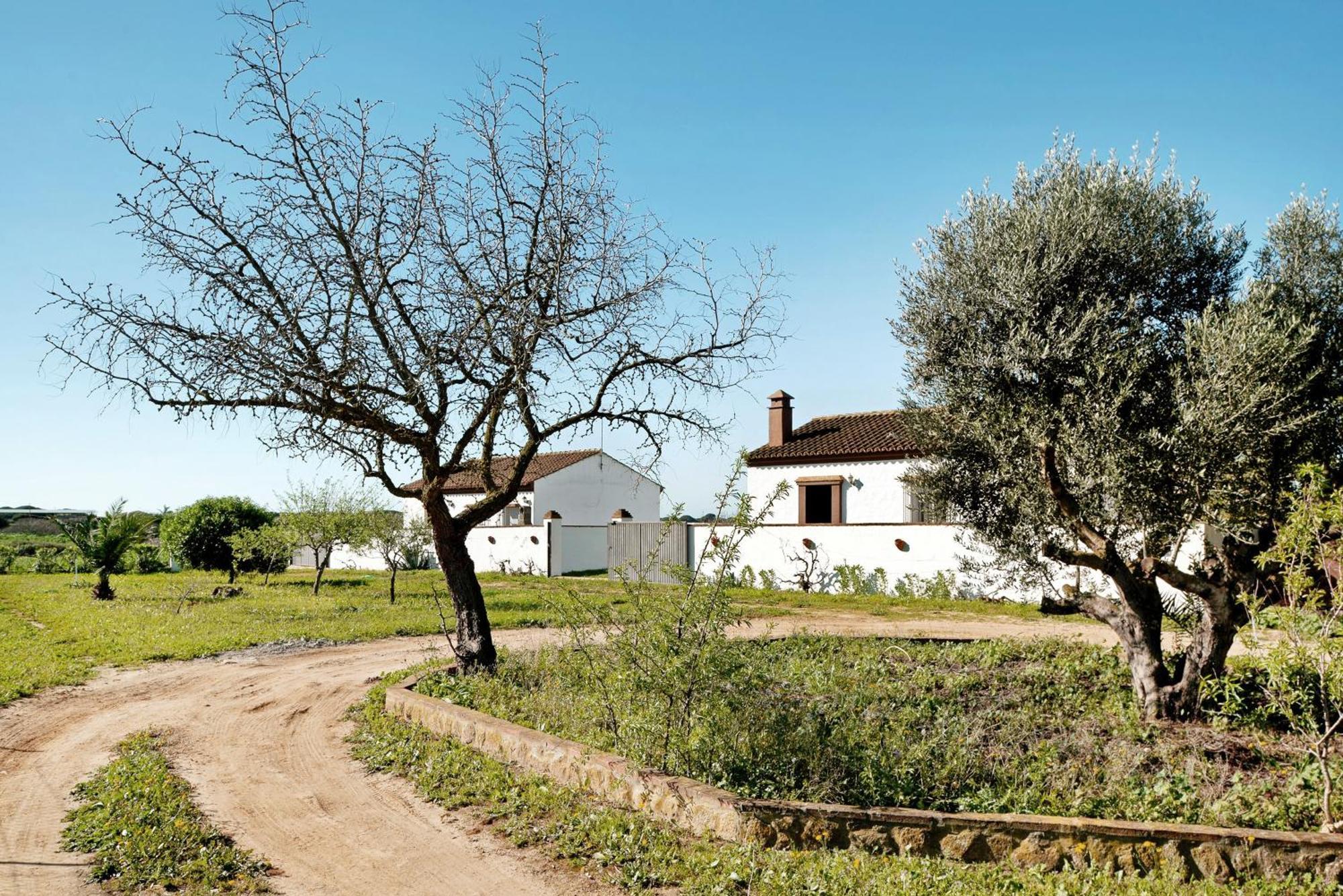 Las Calas De Roche Exterior foto
